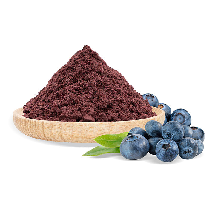 Blueberry powder in a wooden bowl with fresh blueberries on a white background