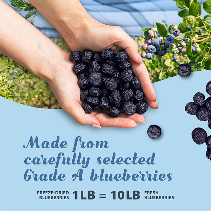 Hands holding freeze-dried blueberries with text about product details.