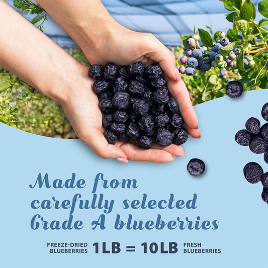 Hands holding freeze-dried blueberries with text about product details.