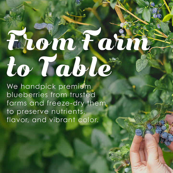 Hand holding blueberries with text about farm-to-table process on a green leafy background