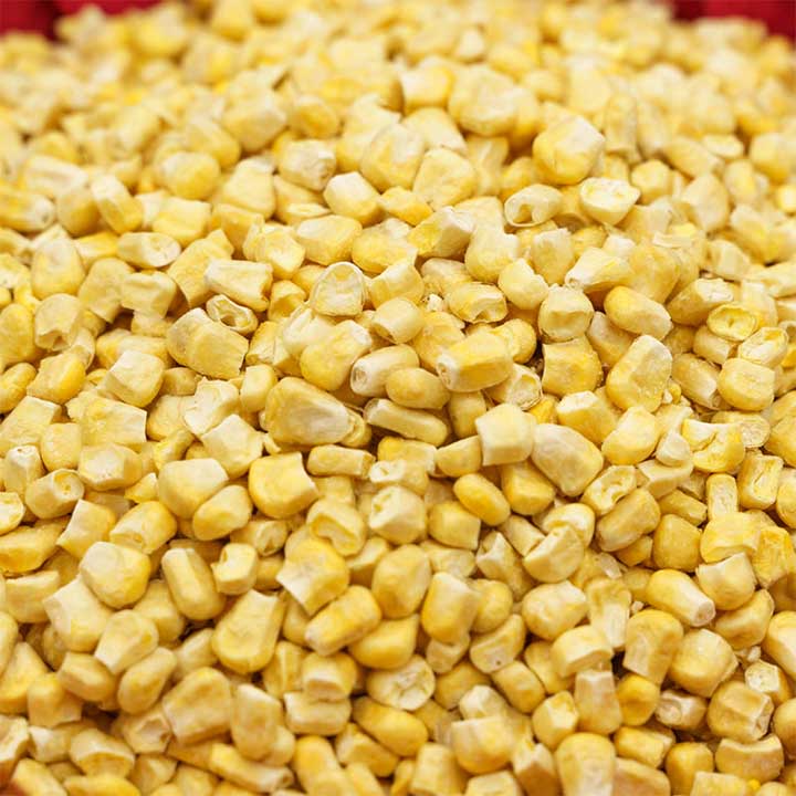 Bulk Freeze dried Corn