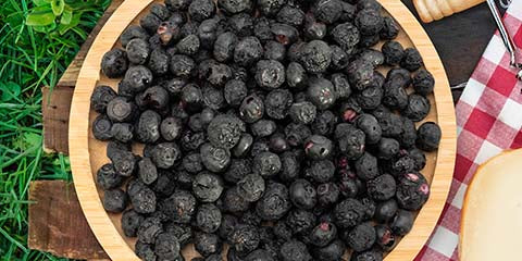 High quality blueberry ingredients in a bowl