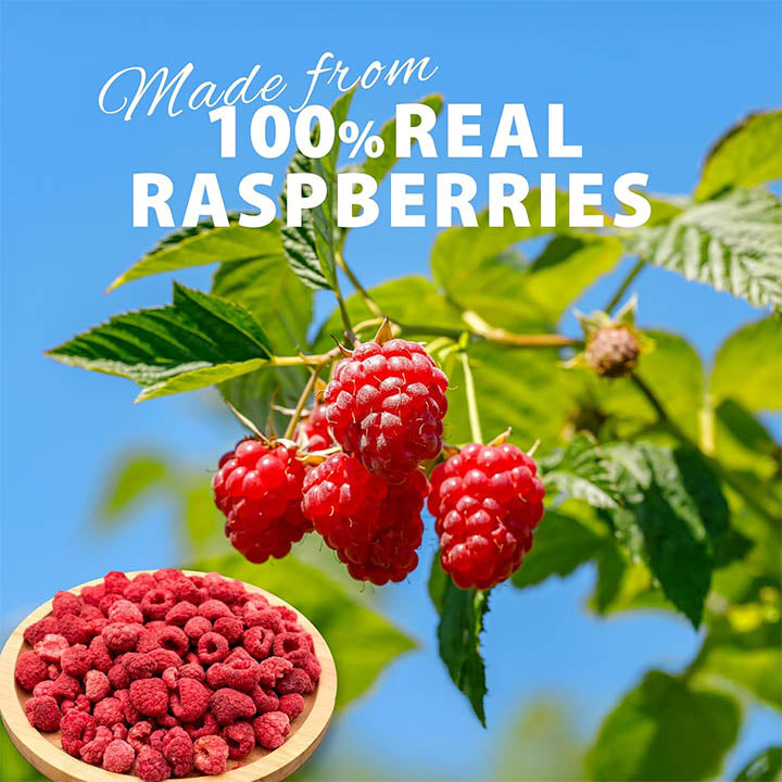 Raspberries on a branch with a bowl of raspberries below, against a blue sky.