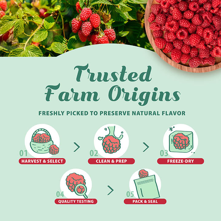 Illustration of raspberries with text 'Trusted Farm Origins' and steps for raspberry processing.