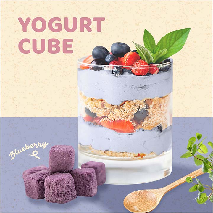 Blueberry Yogurt Cube topping with fruit dessert on white background