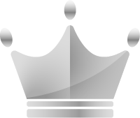 Silver crown icon on a white background
